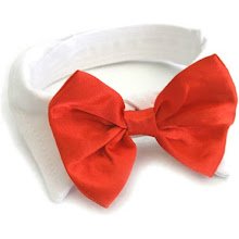 Dog Bow Tie Accessory - Your Private Bar