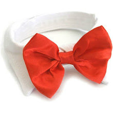 Dog Bow Tie Accessory In Red