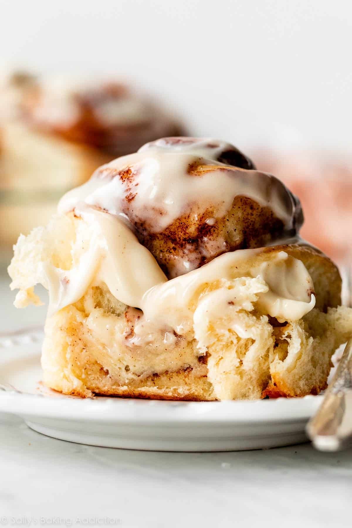 Ooey - Gooey Cinnamon Rolls - Your Private Bar