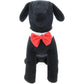 Dog Bow Tie Accessory In Red-Your Private Bar