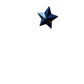 Nautical Star Cupcake Topper-Your Private Bar